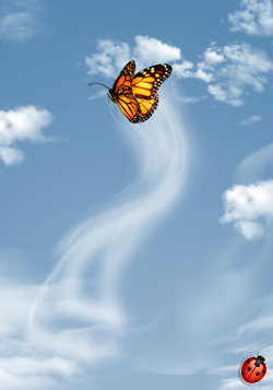 hemmel vlinder ecobati